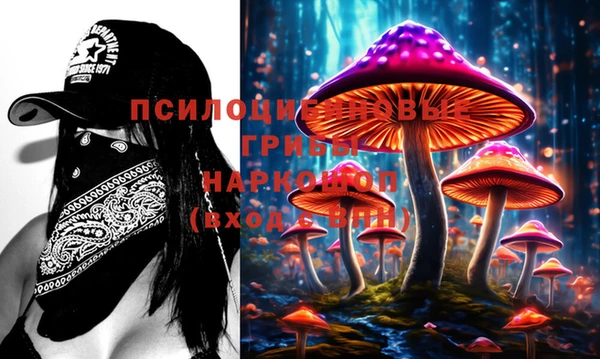 mix Ельня