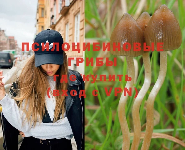 mix Ельня
