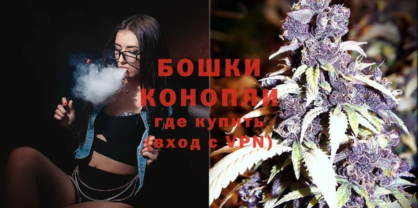 mix Ельня
